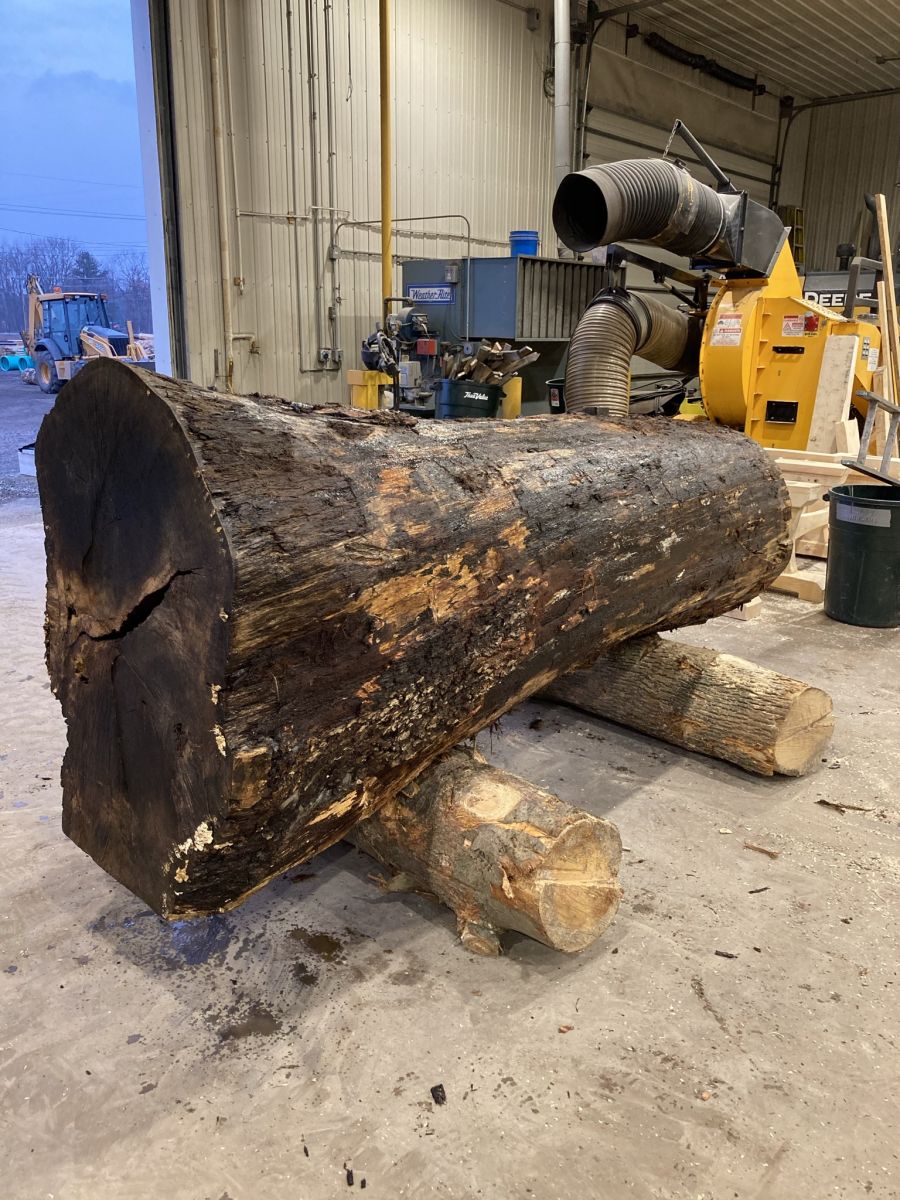 Member Spotlight Photo