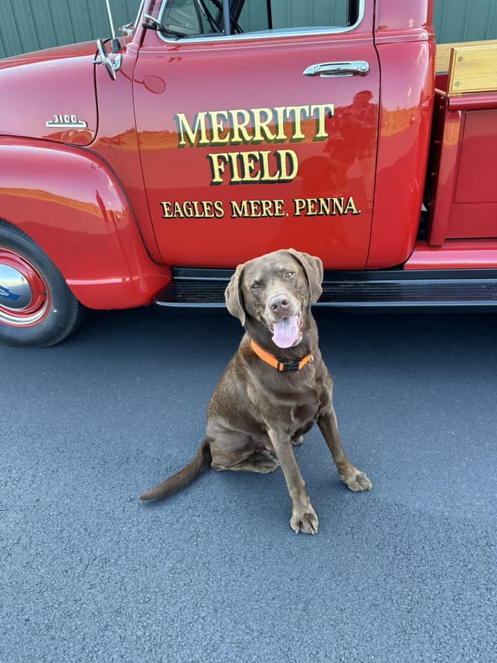Member Spotlight Photo